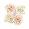 Prima Marketing Inc Prima Flowers® Poetic Rose Flowers - Beautiful Melody 655350637316